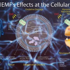 High Tech Health poster showing EMF effects on the body at the cellular level