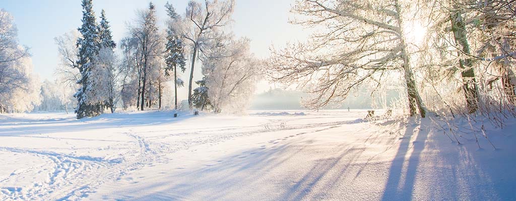 Field with snow