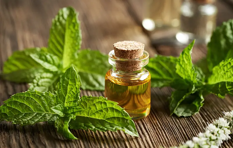 peppermint oil