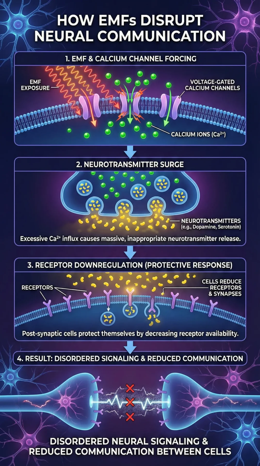 EMF and Neural Communication Disruption